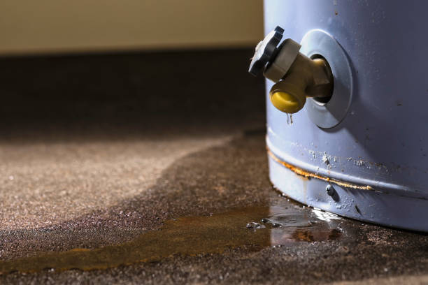 Best Water damage restoration mold remediation  in Washburn, WI