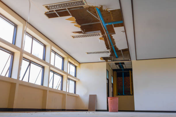 Carpet water damage restoration in Washburn, WI