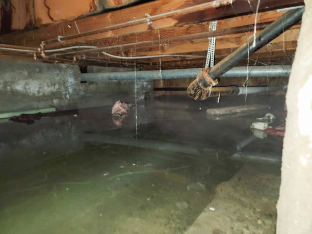 Best Flood restoration services  in Washburn, WI