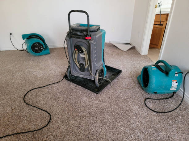 Best Water damage restoration experts  in Washburn, WI