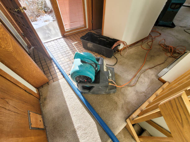 Water damage restoration mold remediation in Washburn, WI