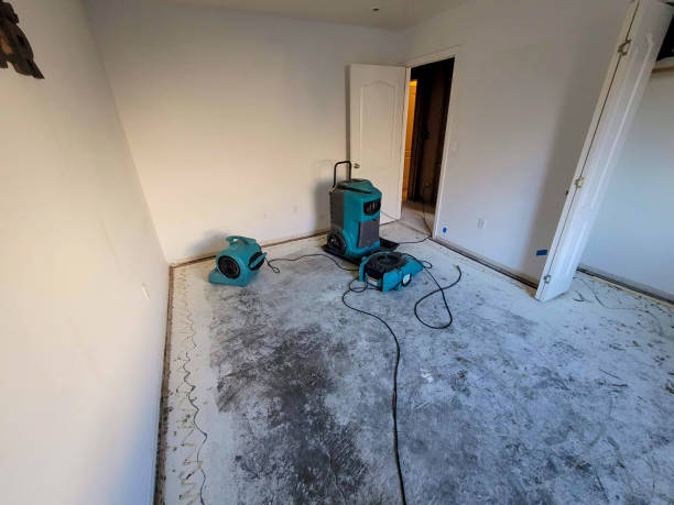 Best Ceiling water damage repair  in Washburn, WI