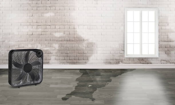 Best Emergency water damage restoration  in Washburn, WI