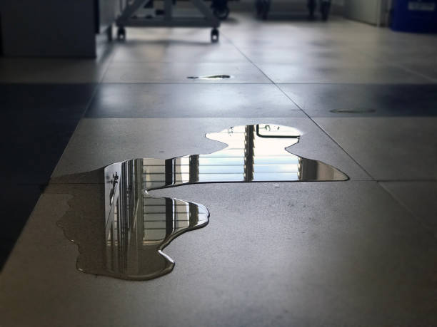 Best Water damage contractors near me  in Washburn, WI