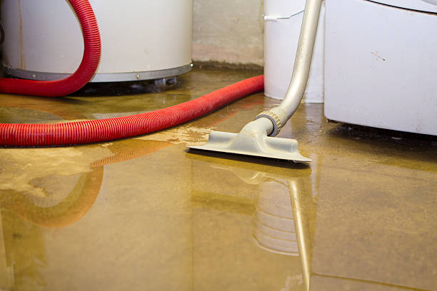 Trusted Washburn, WI Water damage restoration Experts