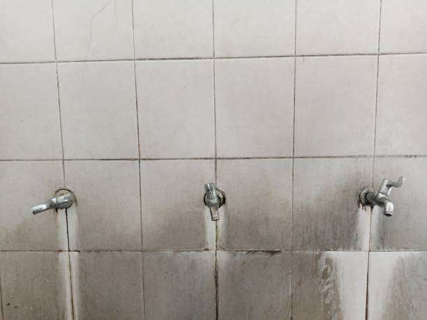 Best Flood damage cleanup  in Washburn, WI