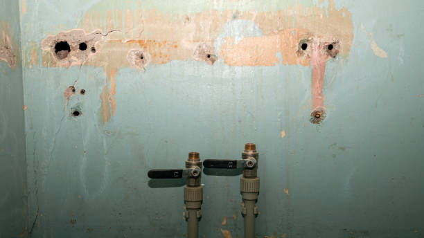 Best Water damage restoration near me  in Washburn, WI
