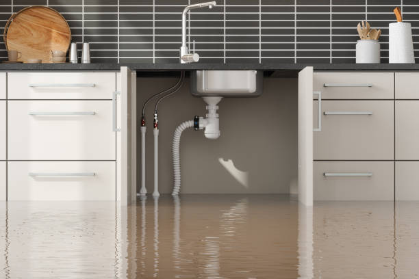 Best Flood restoration services  in Washburn, WI