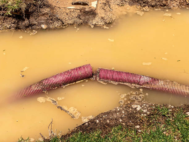 Best Water damage restoration near me  in Washburn, WI